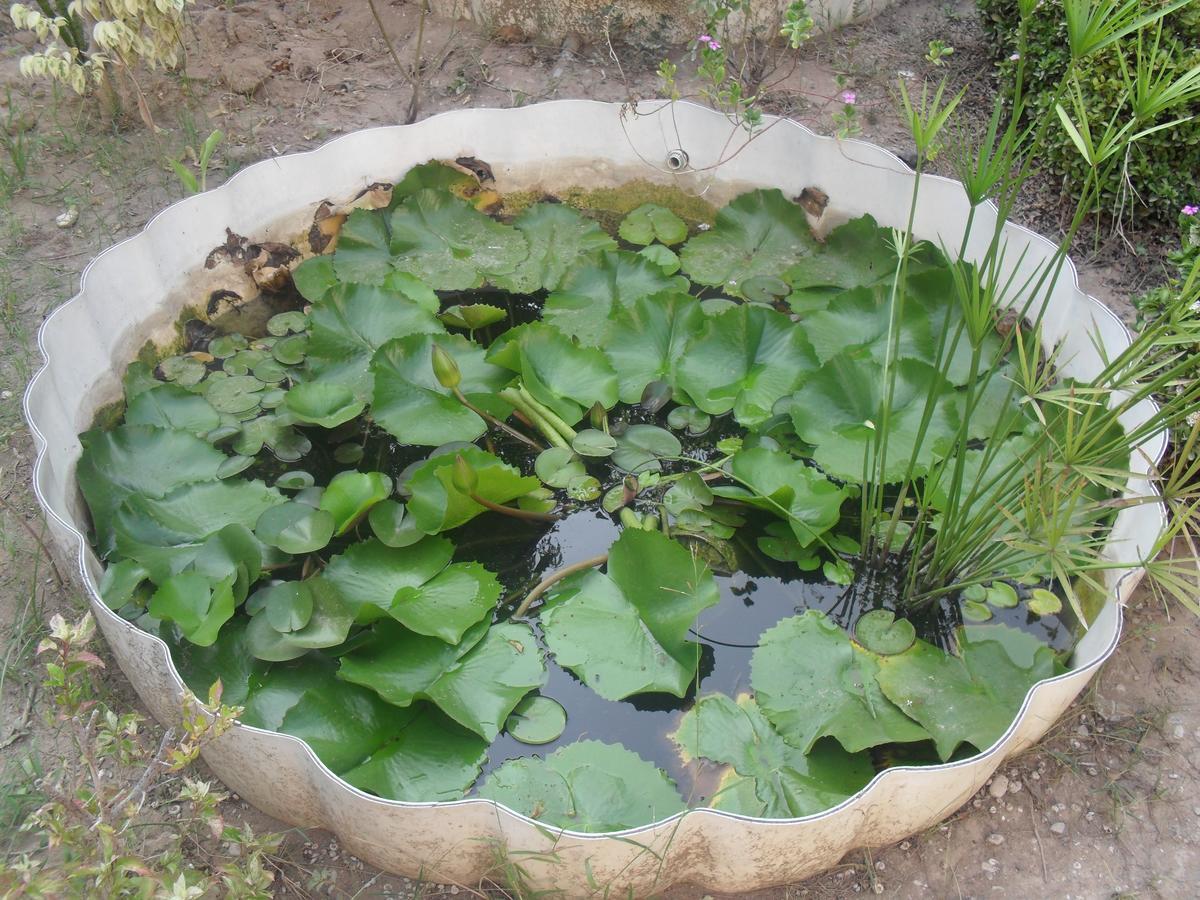 Garden Roomz Oman 马斯喀特 外观 照片