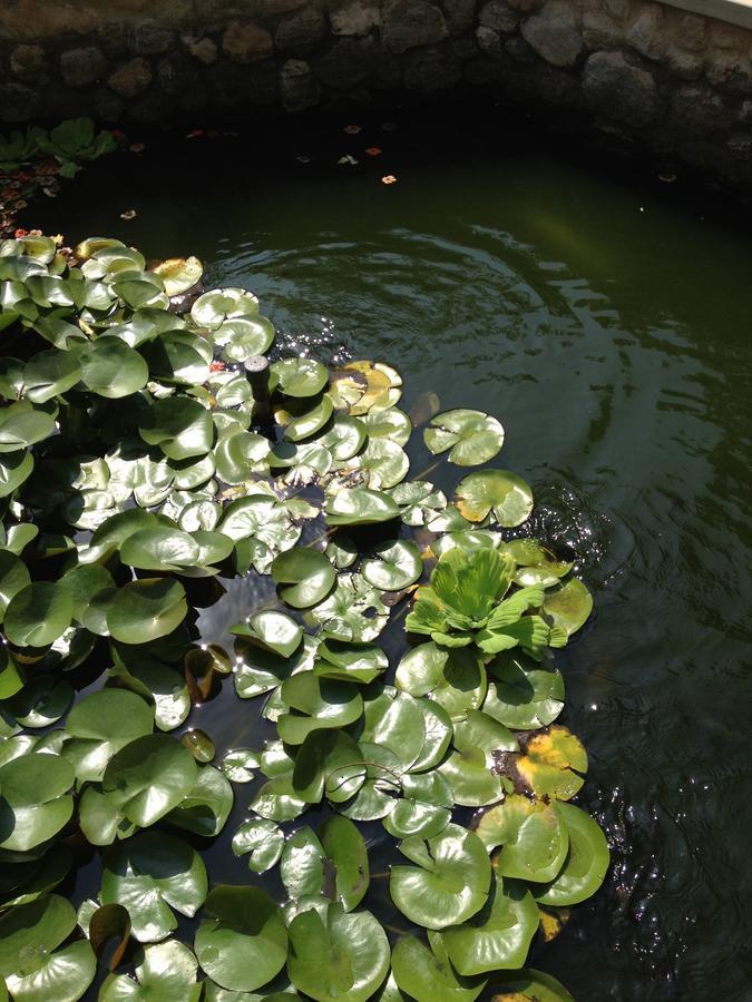 Garden Roomz Oman 马斯喀特 外观 照片