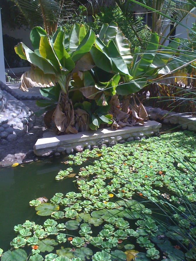 Garden Roomz Oman 马斯喀特 外观 照片