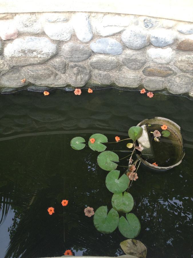 Garden Roomz Oman 马斯喀特 外观 照片